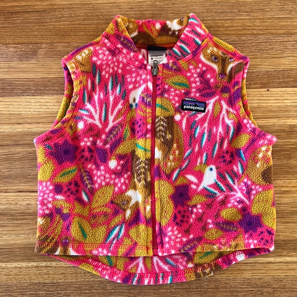 Patagonia Fleece Vest